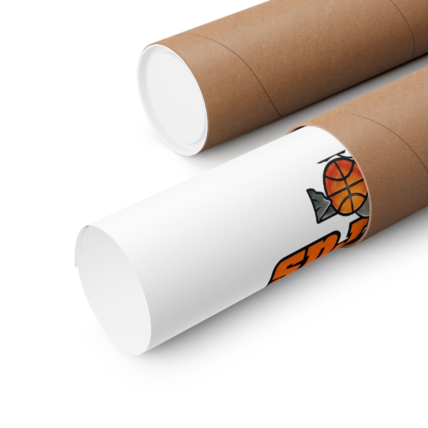 Legacy Poster – La Crosse Catbirds™ Next Gen Collection